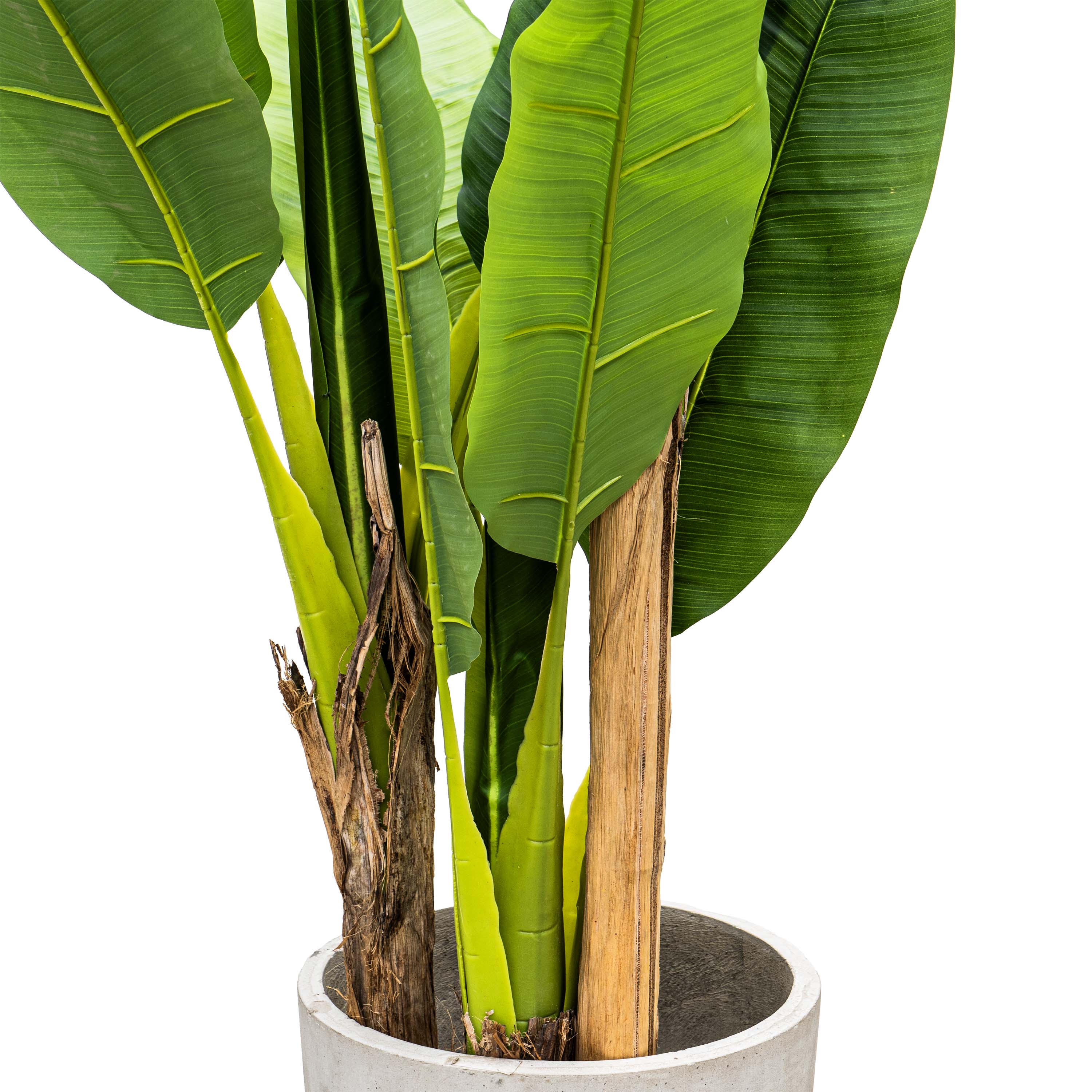 Faux Dark Green Veined Plantain Tree - 6ft (Set of 3)