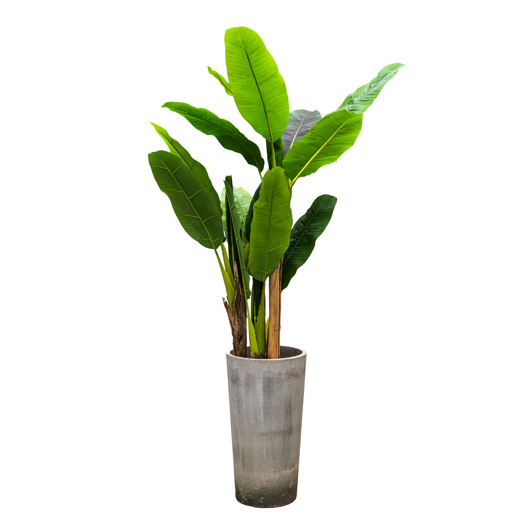 Faux Dark Green Veined Plantain Tree - 6ft (Set of 3)