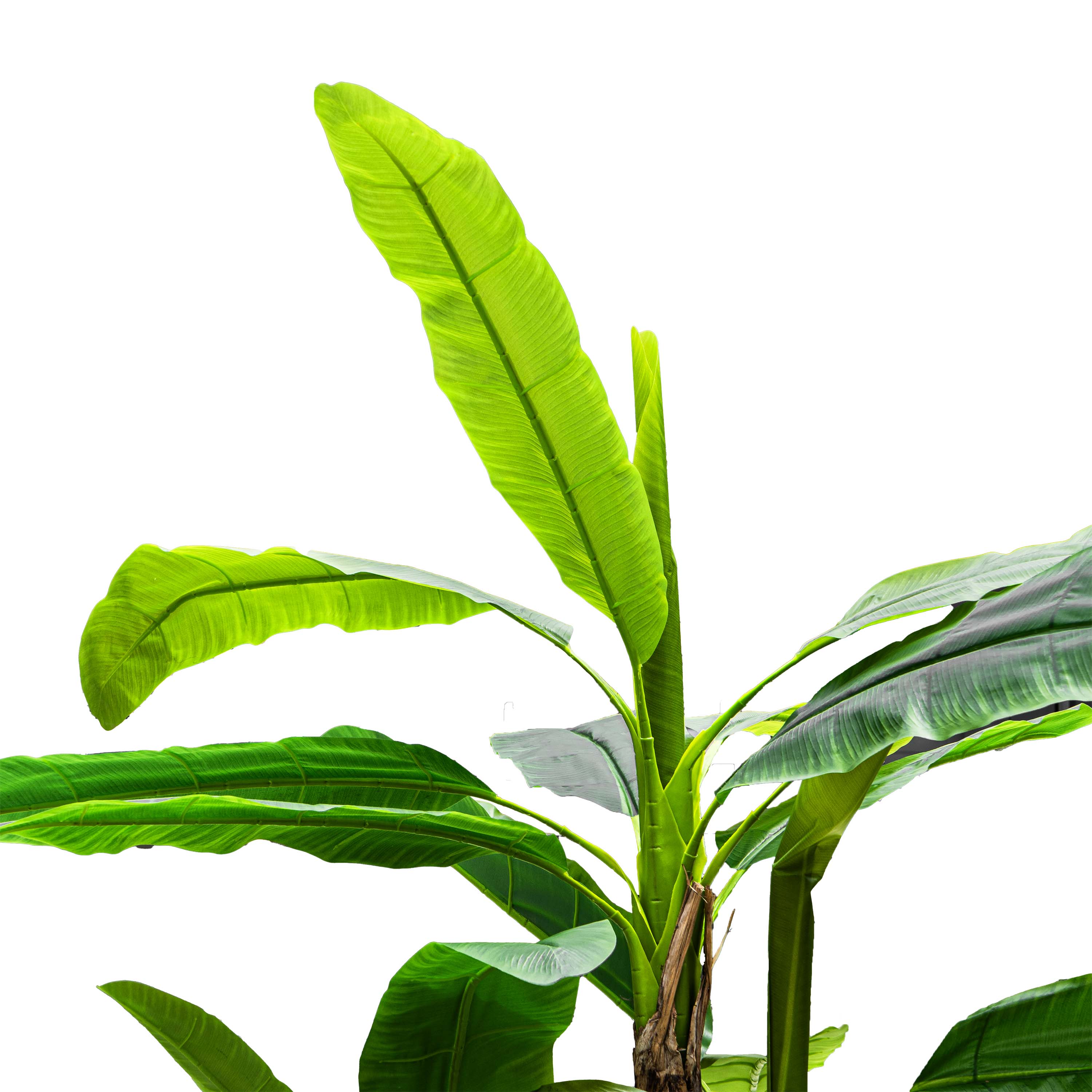 Faux Big Dark Green Veined Plantain Tree - 9ft (Set of 4)