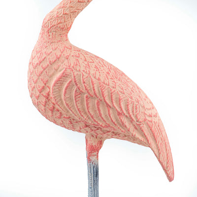 Flamingo With Head Facing Up