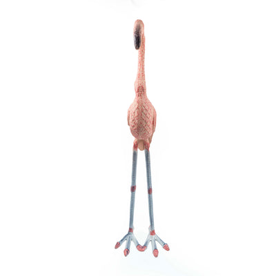 Flamingo With Head Facing Up