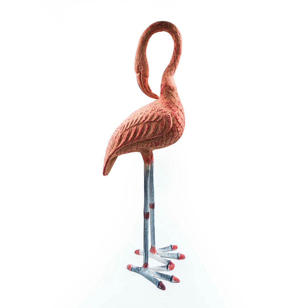 Flamingo With Head Facing Down