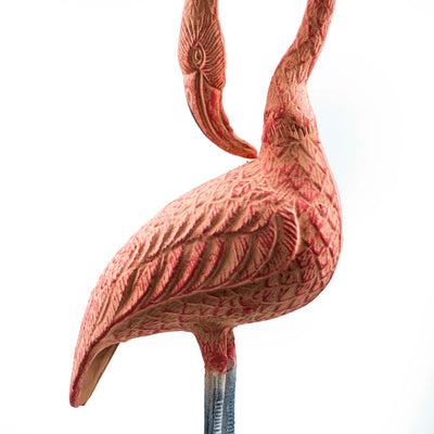 Flamingo With Head Facing Down