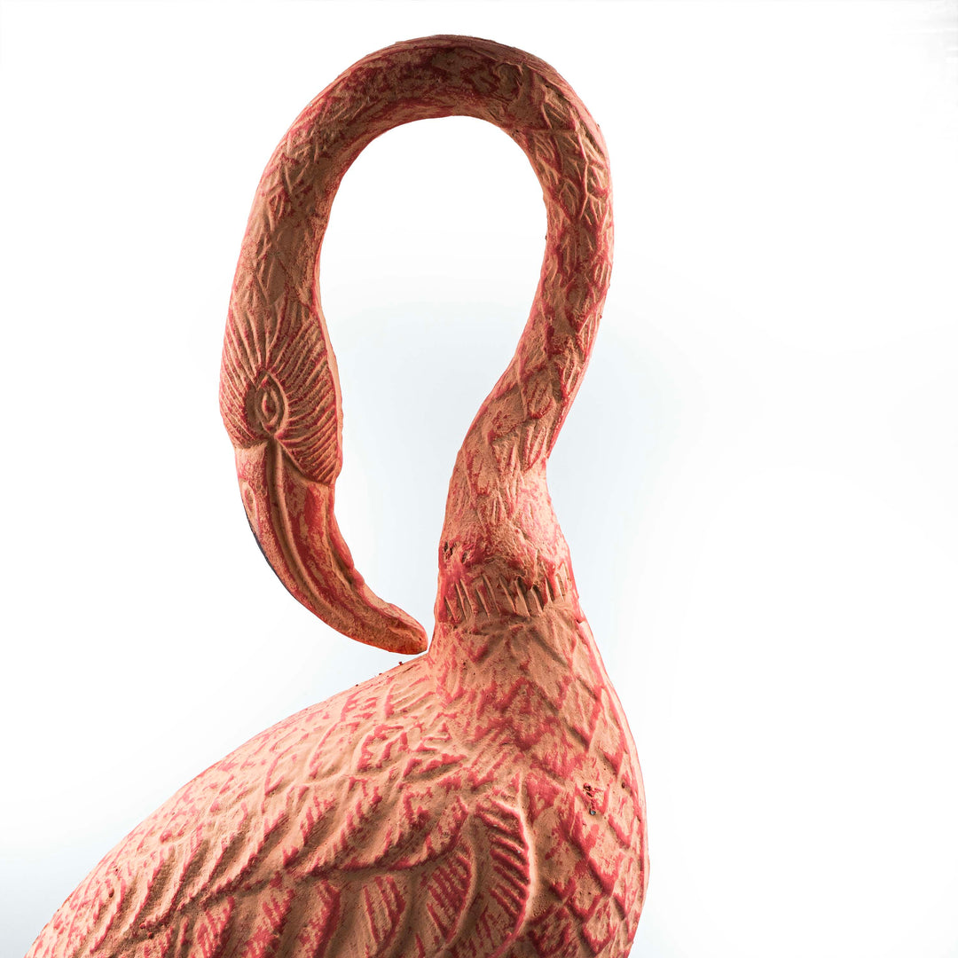 Flamingo With Head Facing Down