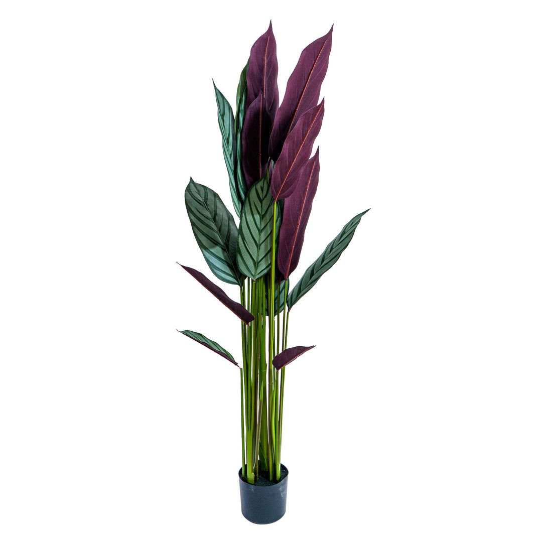 Zebra Vein Calathea Faux Plant
