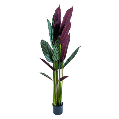 Zebra Vein Calathea Faux Plant