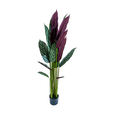 Zebra Vein Calathea Faux Plant