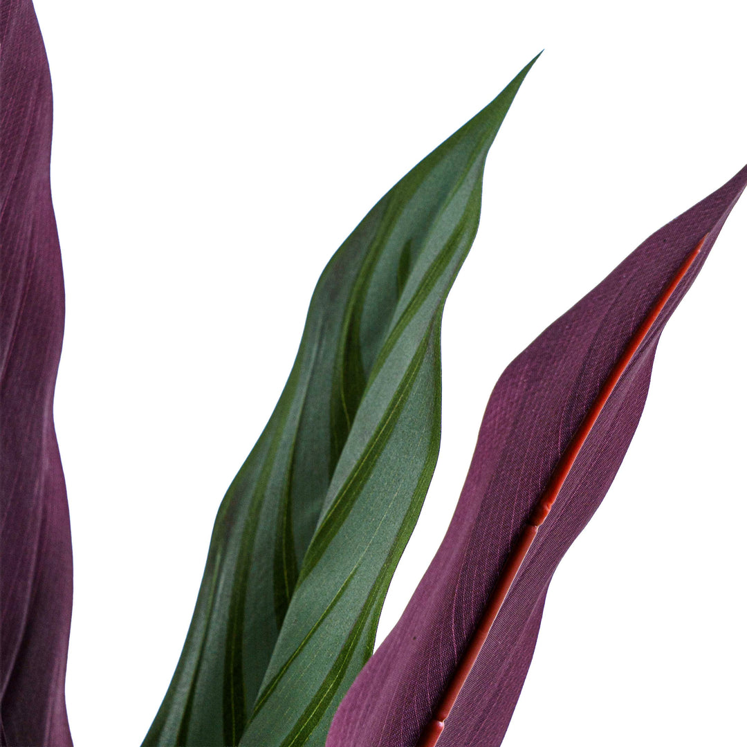 Zebra Vein Calathea Faux Plant