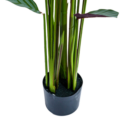 Zebra Vein Calathea Faux Plant