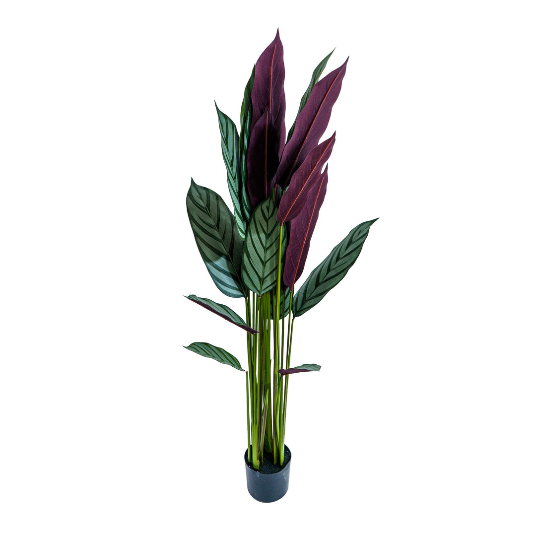 Zebra Vein Calathea Faux Plant