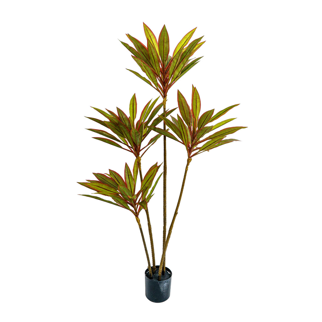 Faux Dracaena Plant