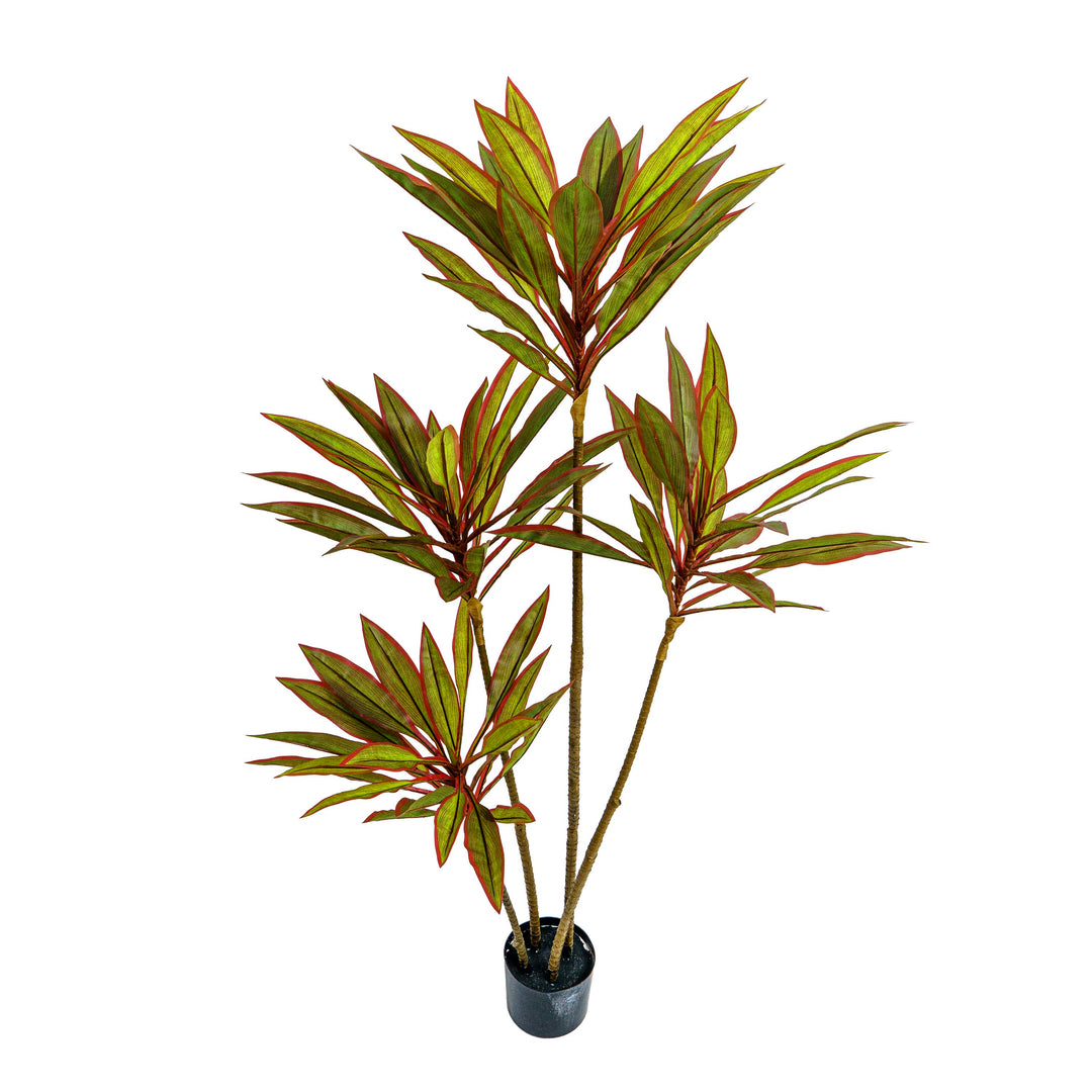 Faux Dracaena Plant