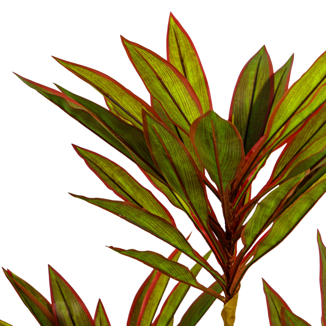 Faux Dracaena Plant
