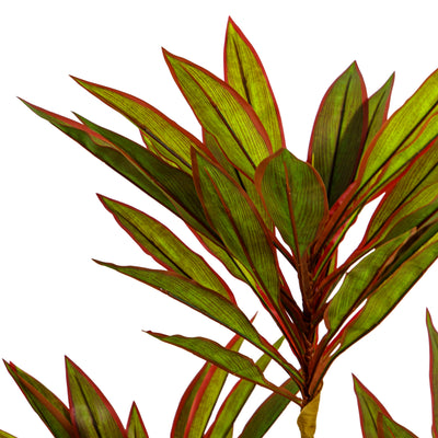 Faux Dracaena Plant