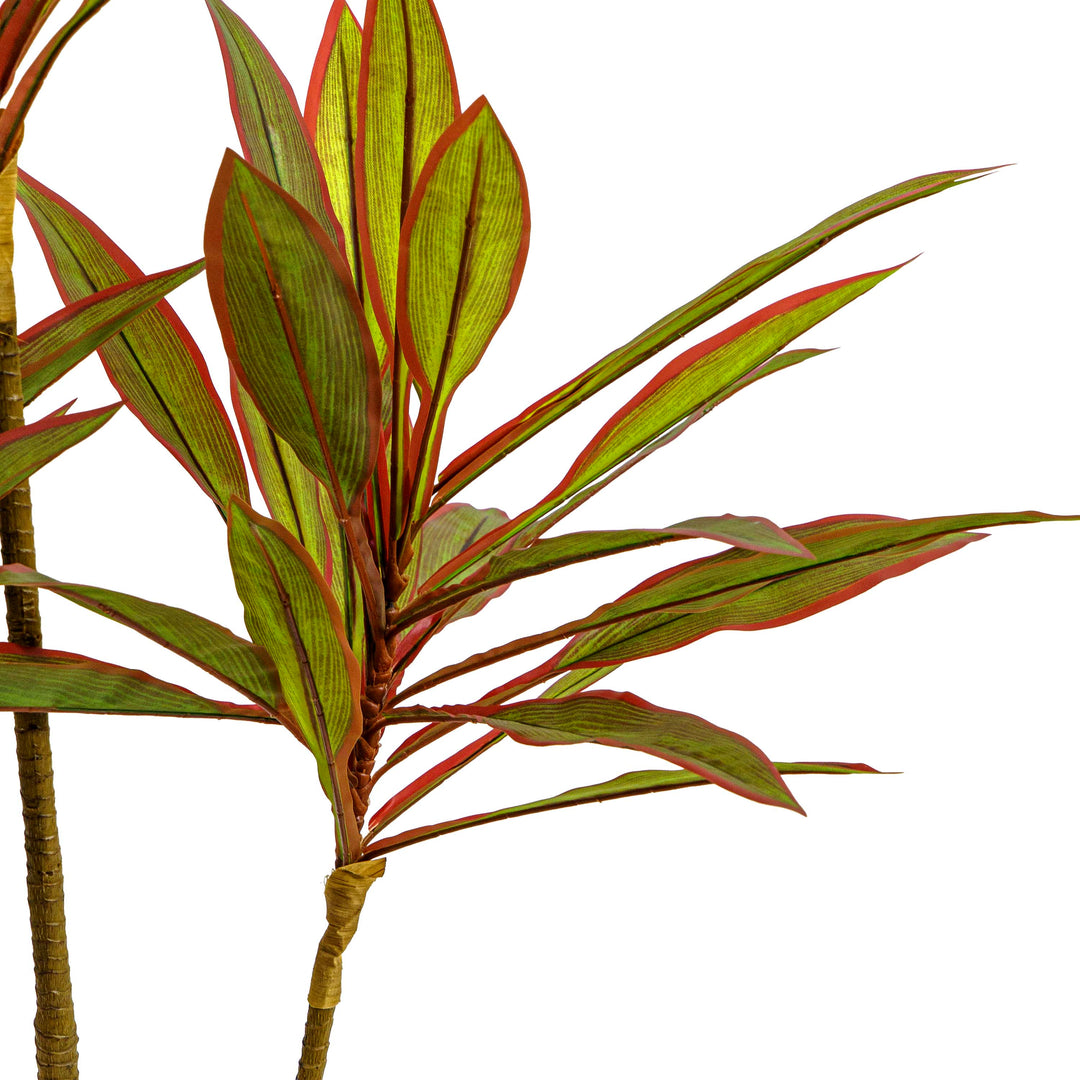 Faux Dracaena Plant