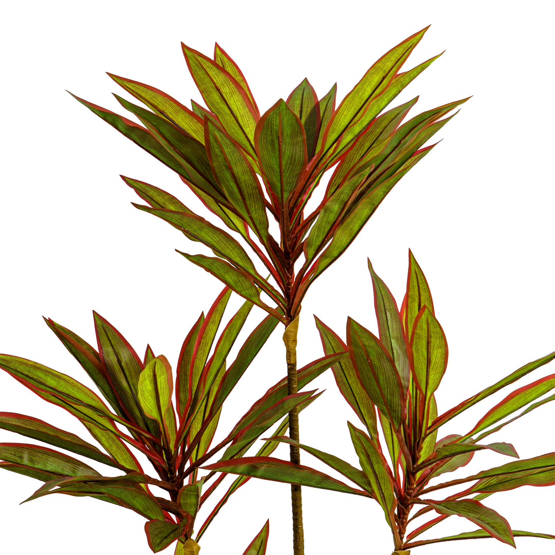 Faux Dracaena Plant