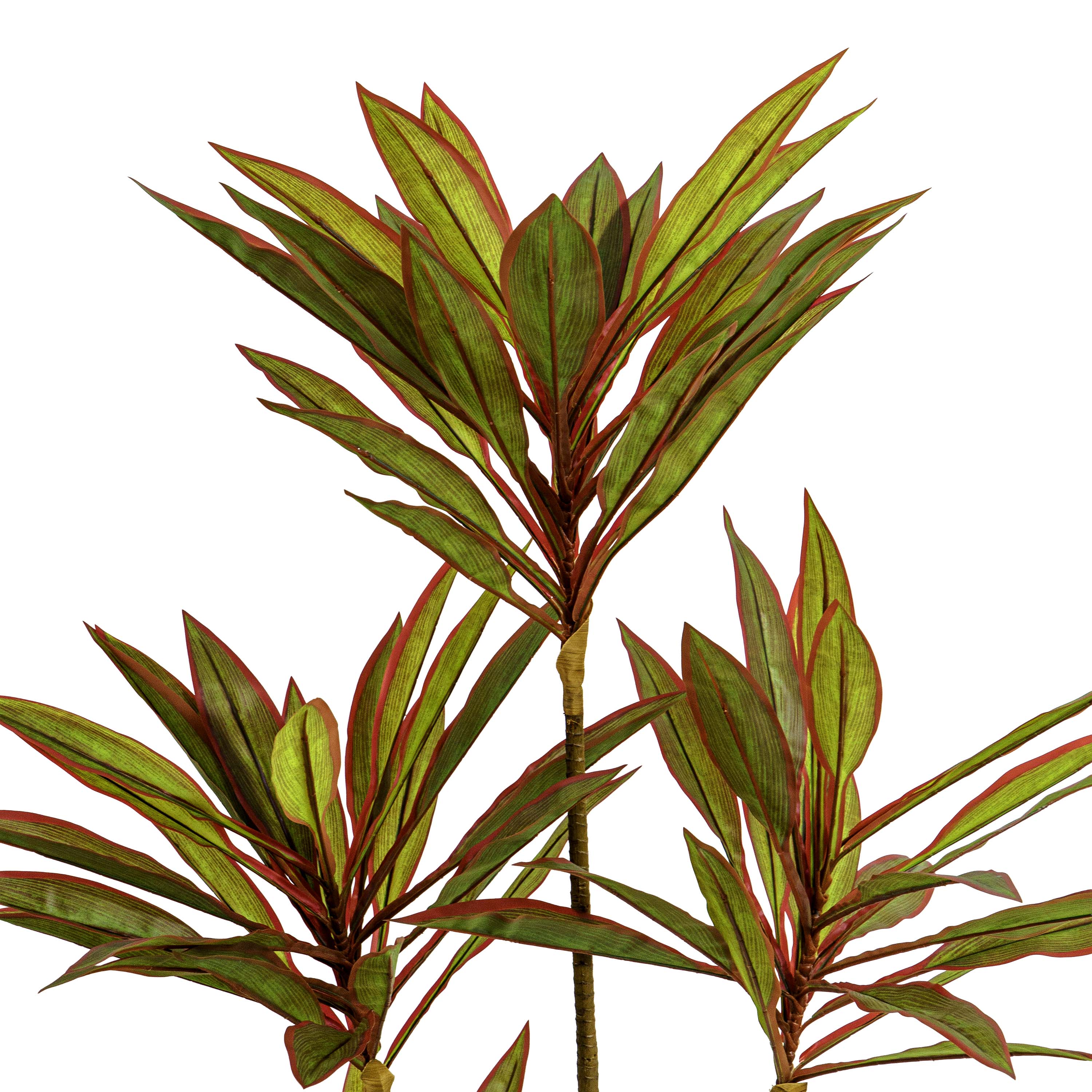 Faux Dracaena Plant