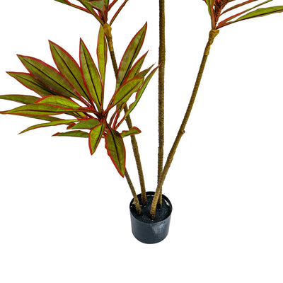Faux Dracaena Plant