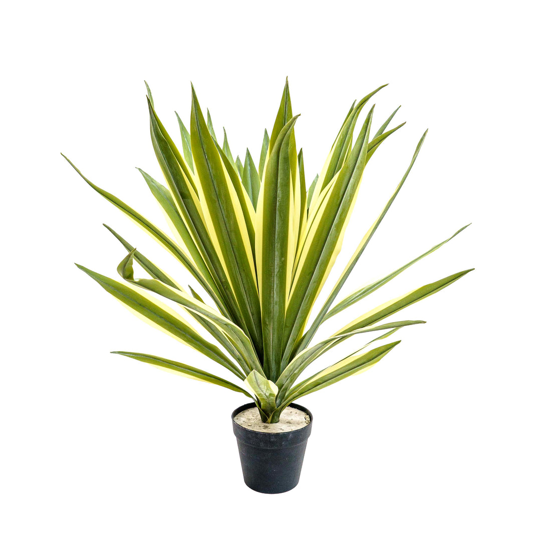 Faux Agave Rosette Plant