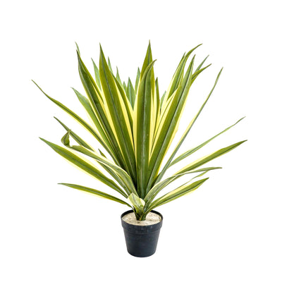 Faux Agave Rosette Plant