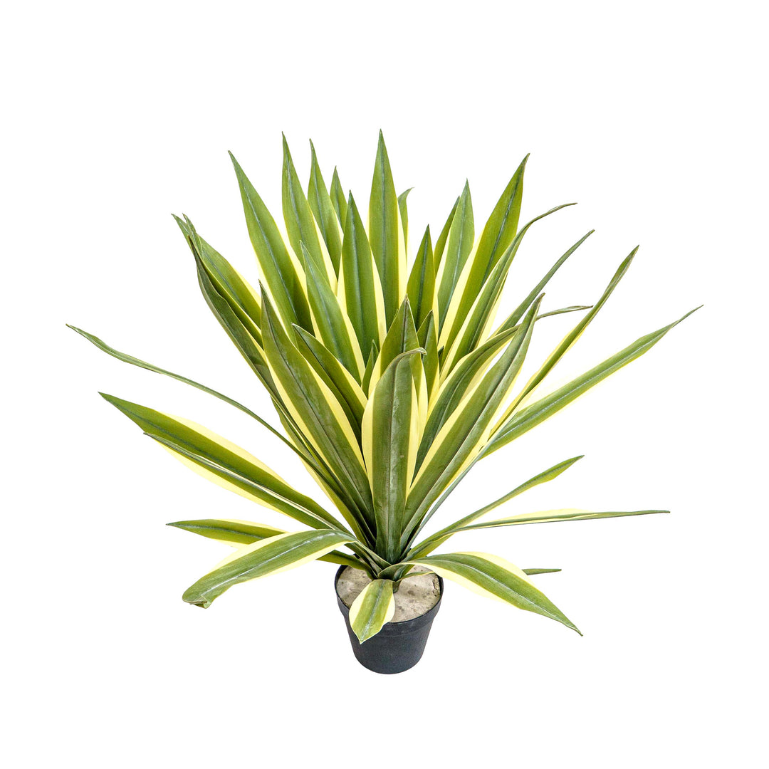Faux Agave Rosette Plant