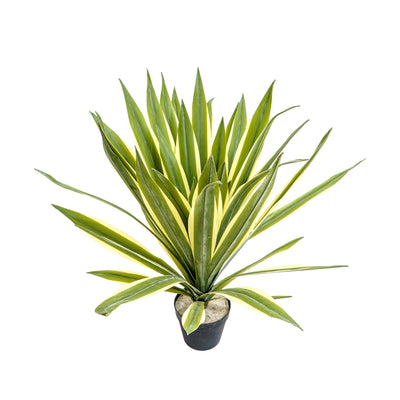 Faux Agave Rosette Plant