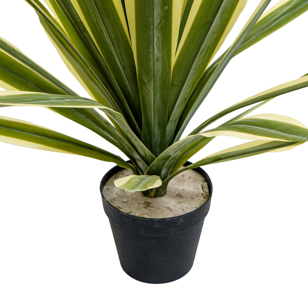 Faux Agave Rosette Plant