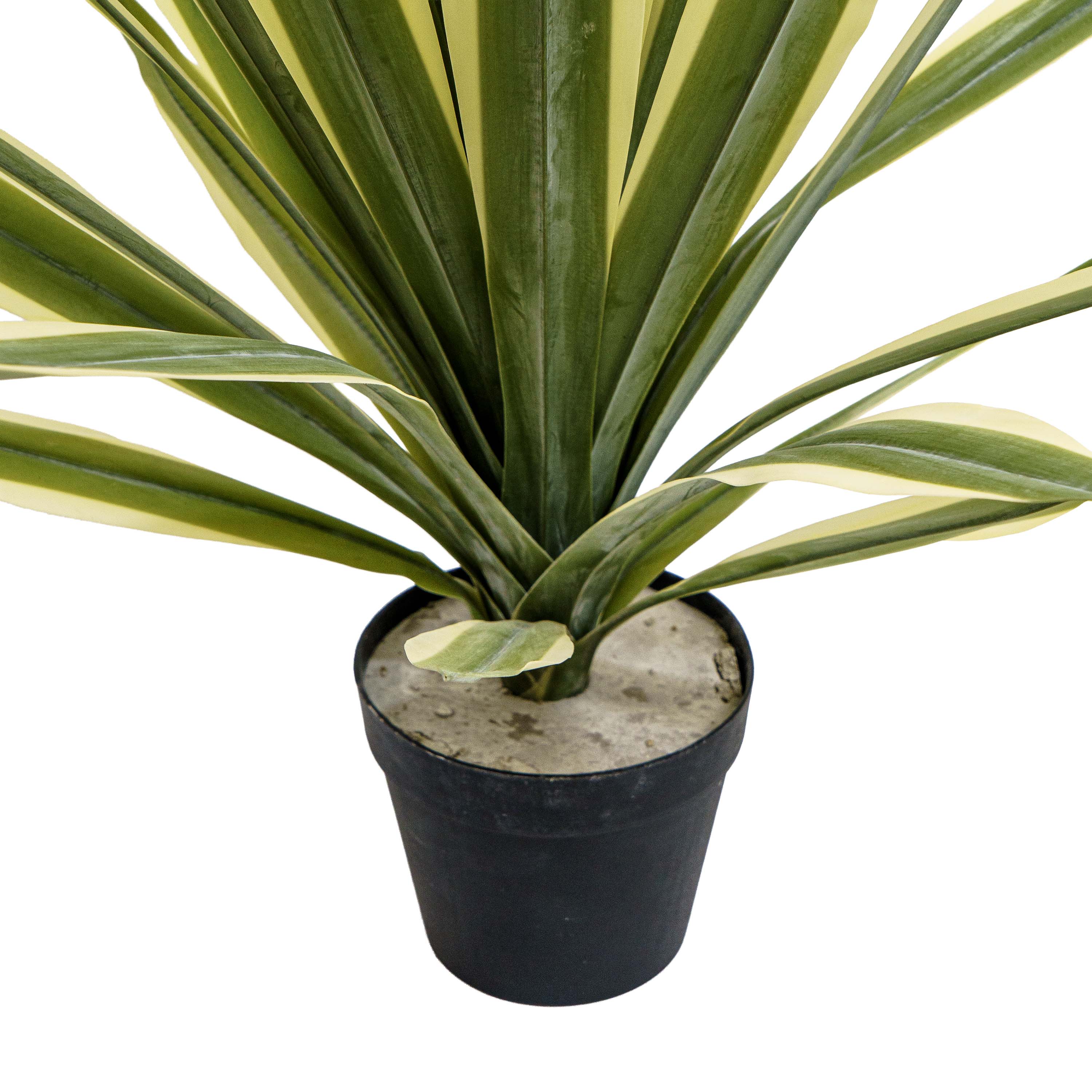 Faux Agave Rosette Plant