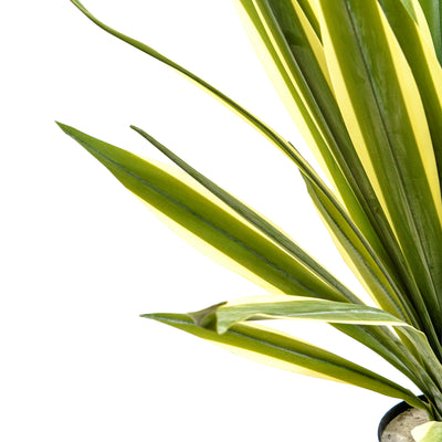Faux Agave Rosette Plant