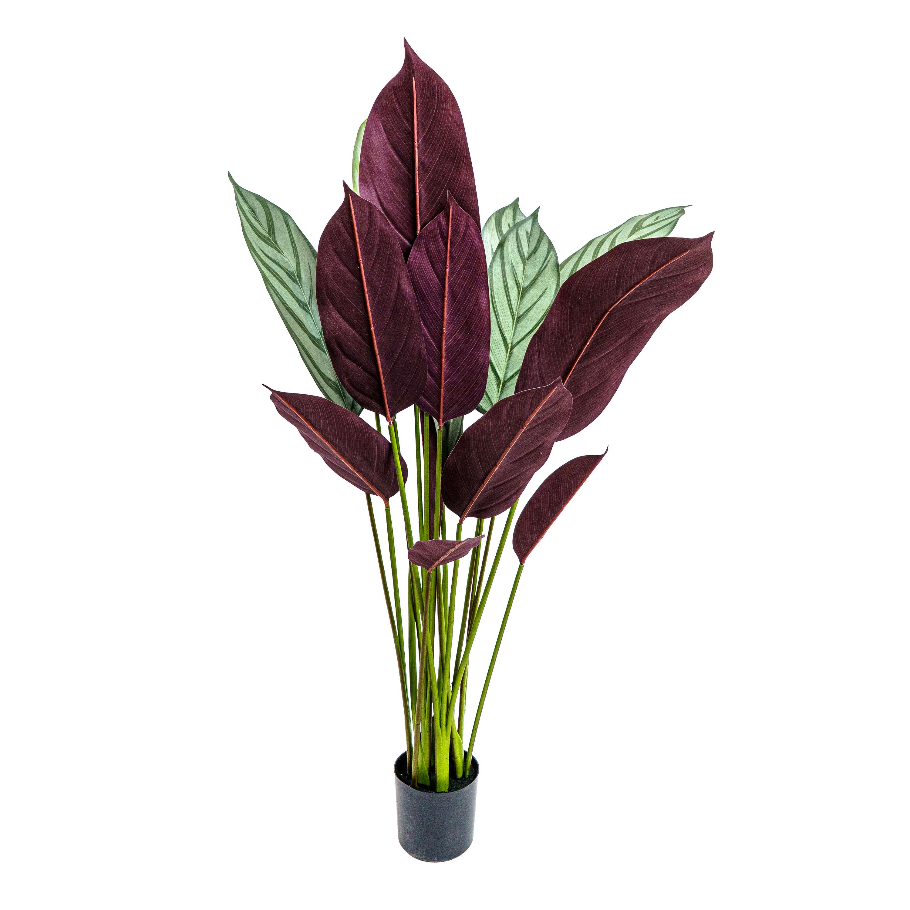 Faux Calathea Vein Plant