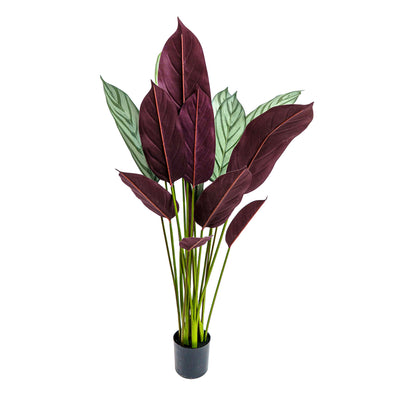 Faux Calathea Vein Plant