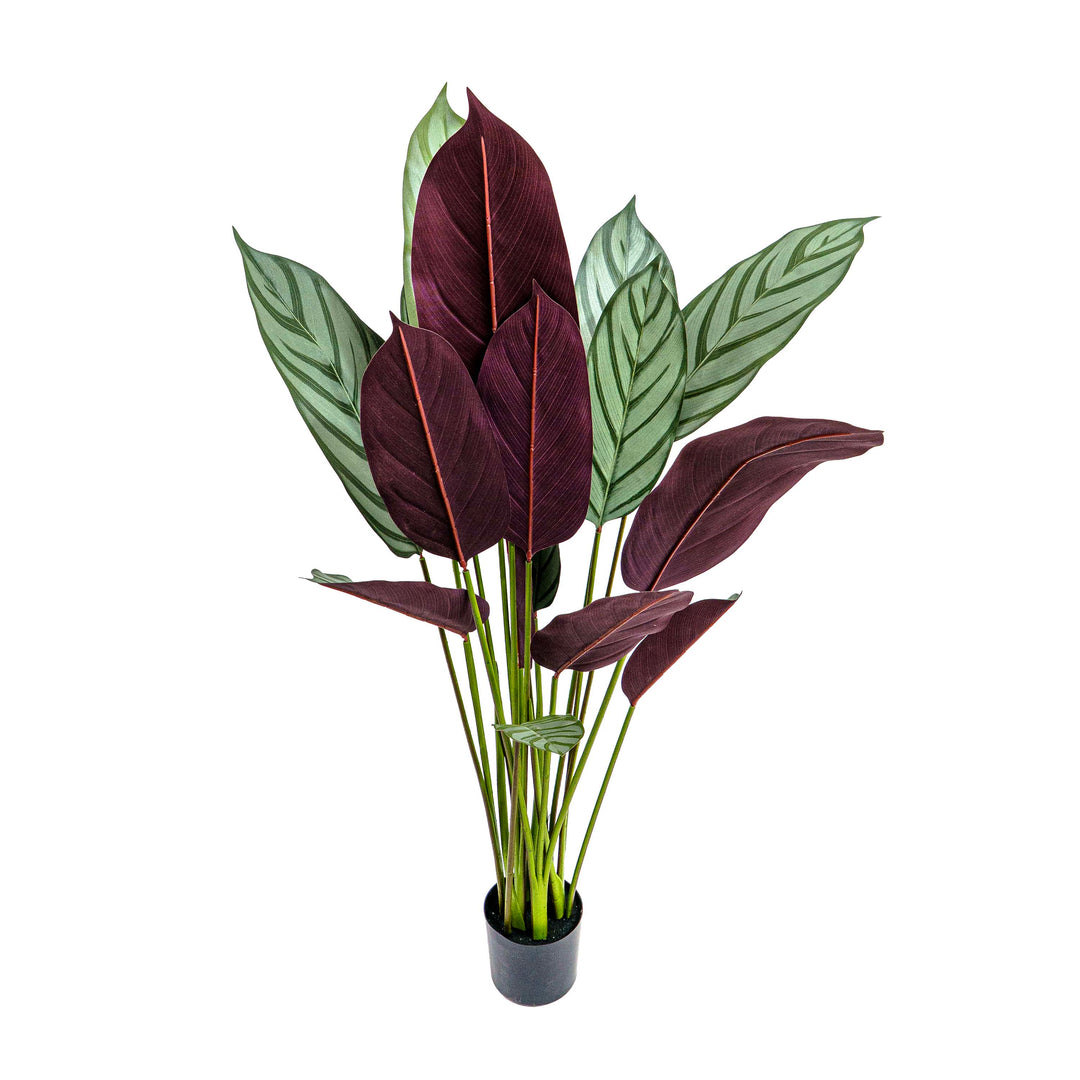 Faux Calathea Vein Plant