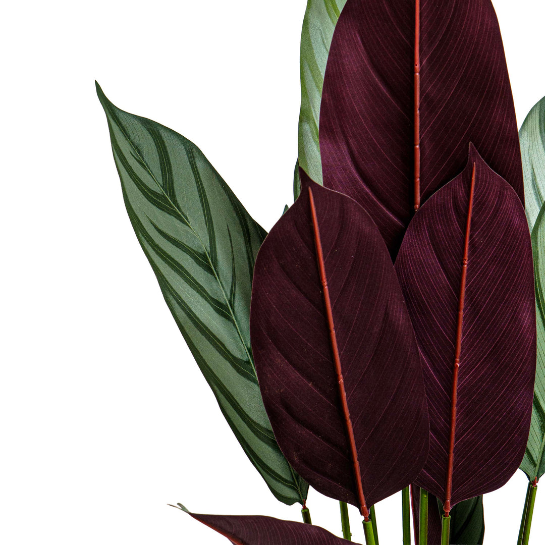 Faux Calathea Vein Plant