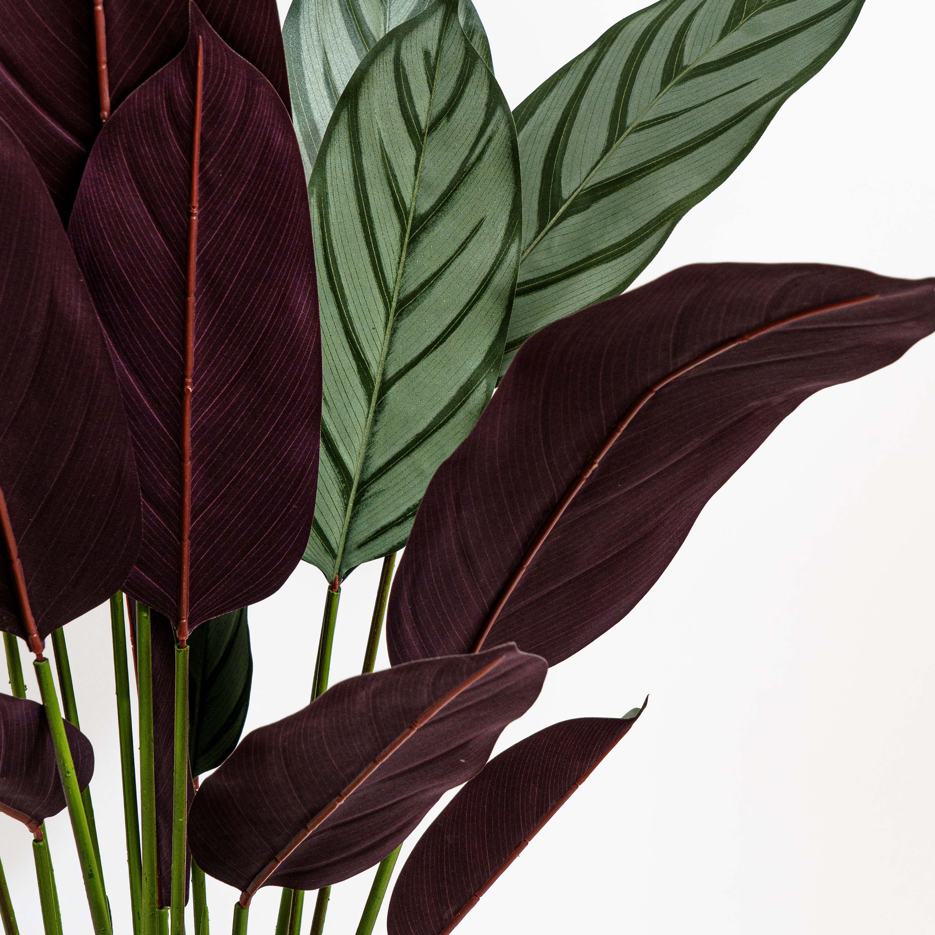 Faux Calathea Vein Plant