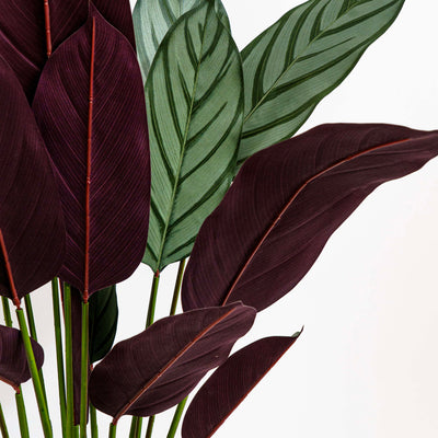 Faux Calathea Vein Plant