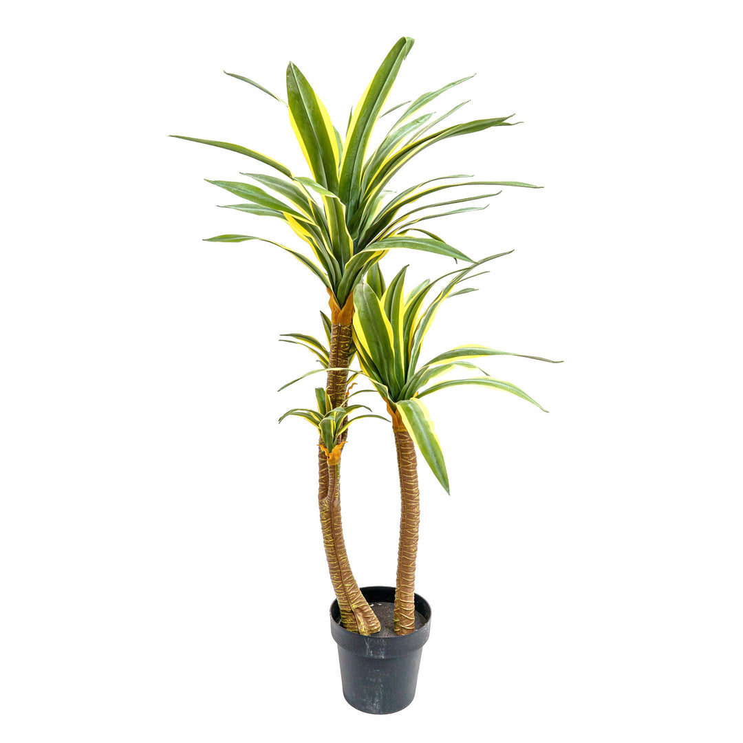 Faux Dracaena Tall Plant
