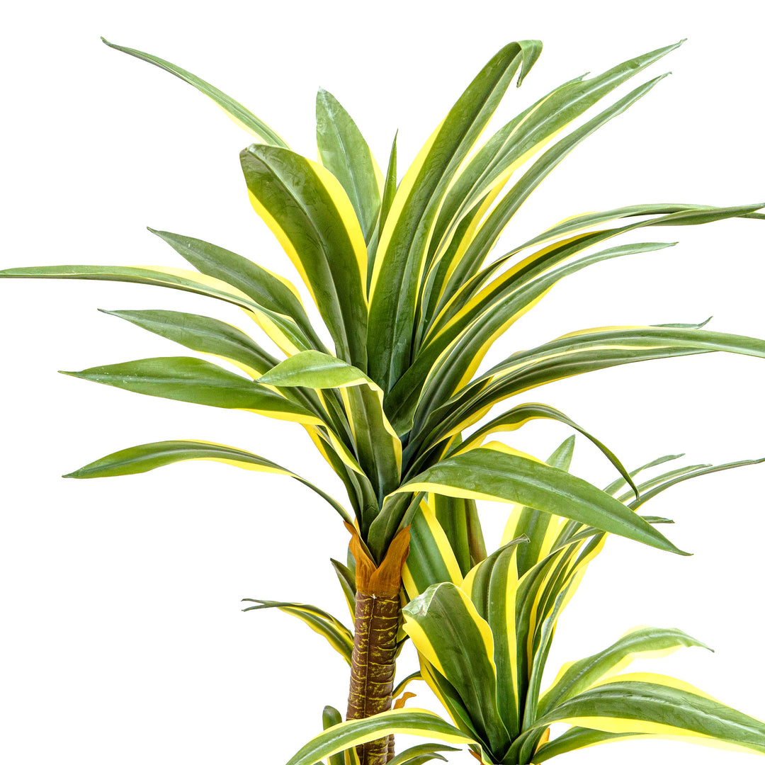 Faux Dracaena Tall Plant