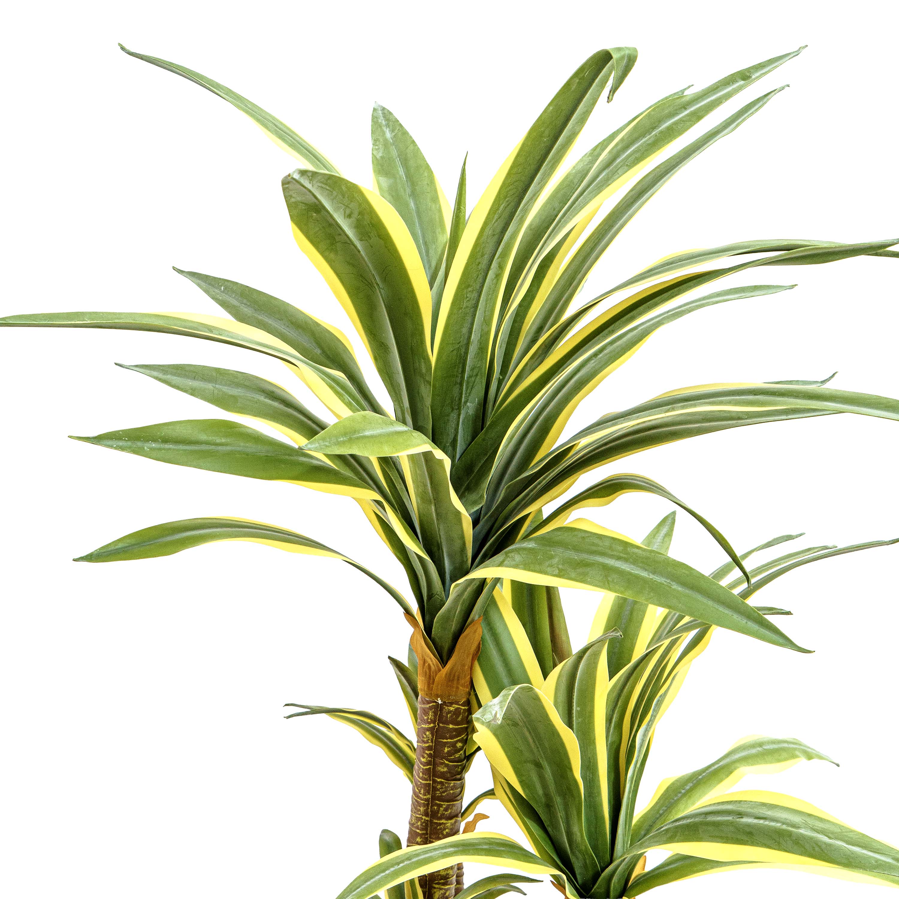 Faux Dracaena Tall Plant