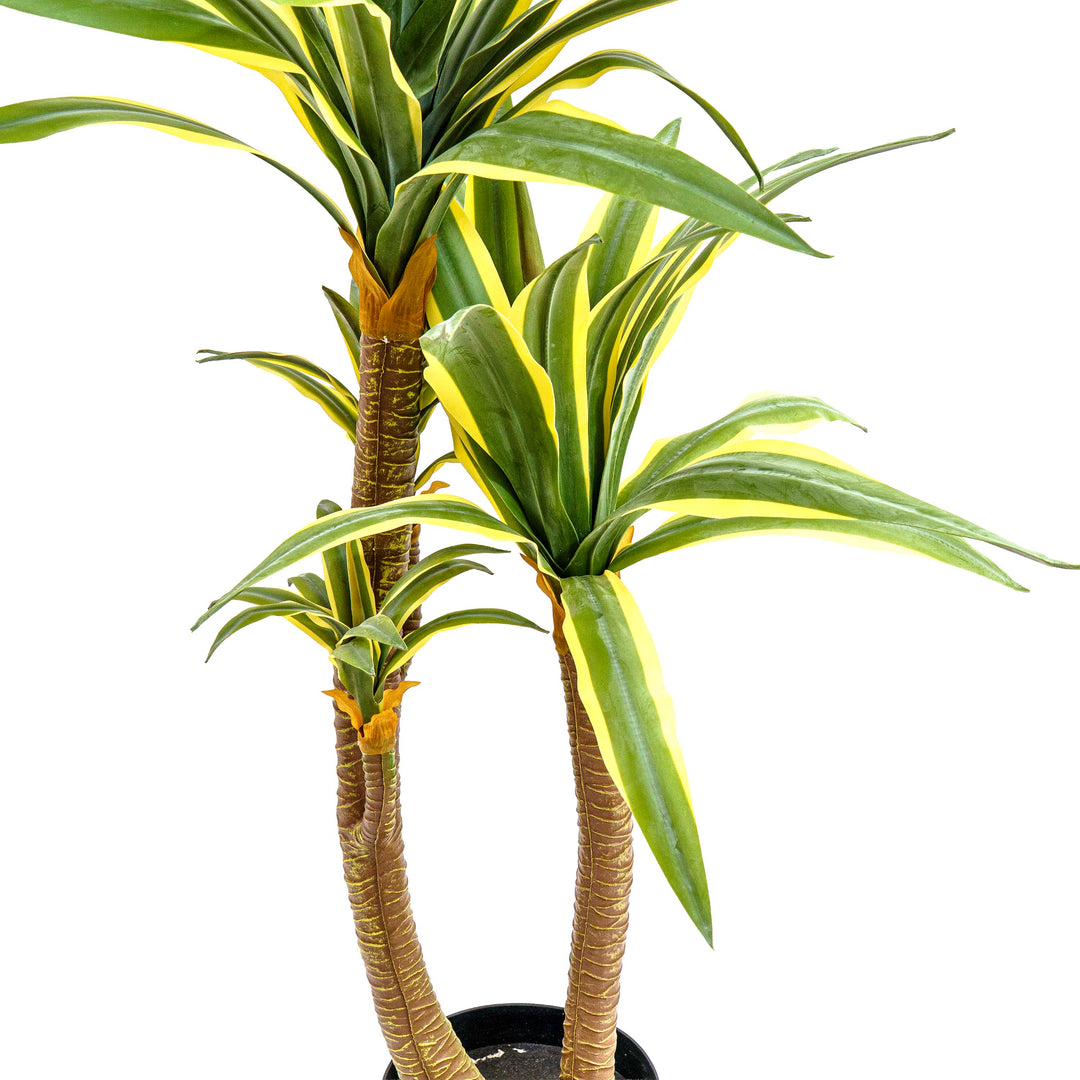 Faux Dracaena Tall Plant