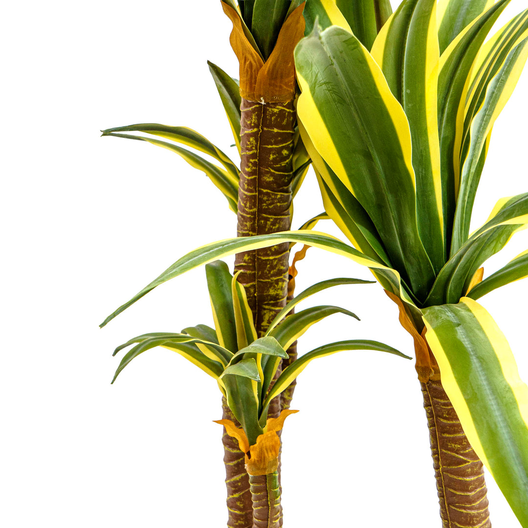 Faux Dracaena Tall Plant