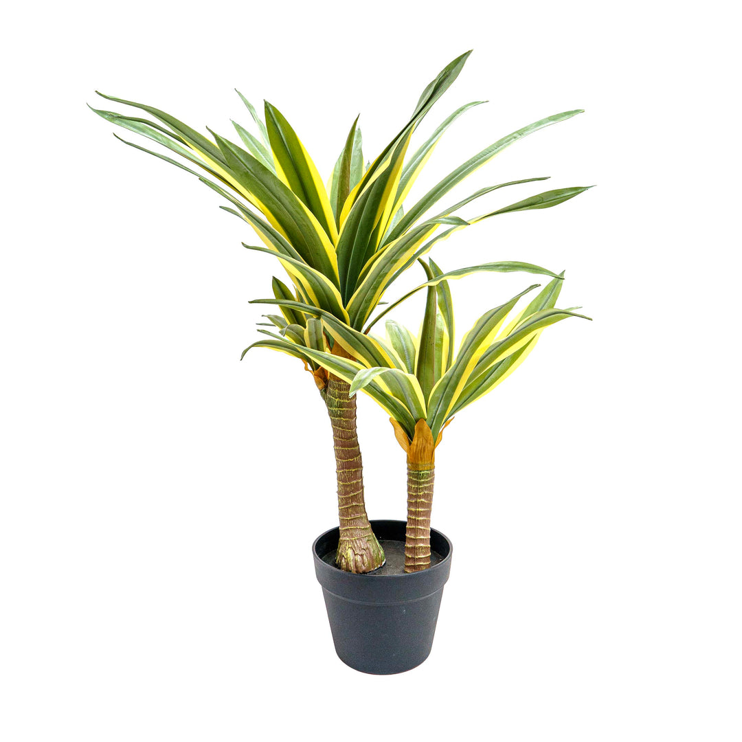 Desert Glow Faux Agave