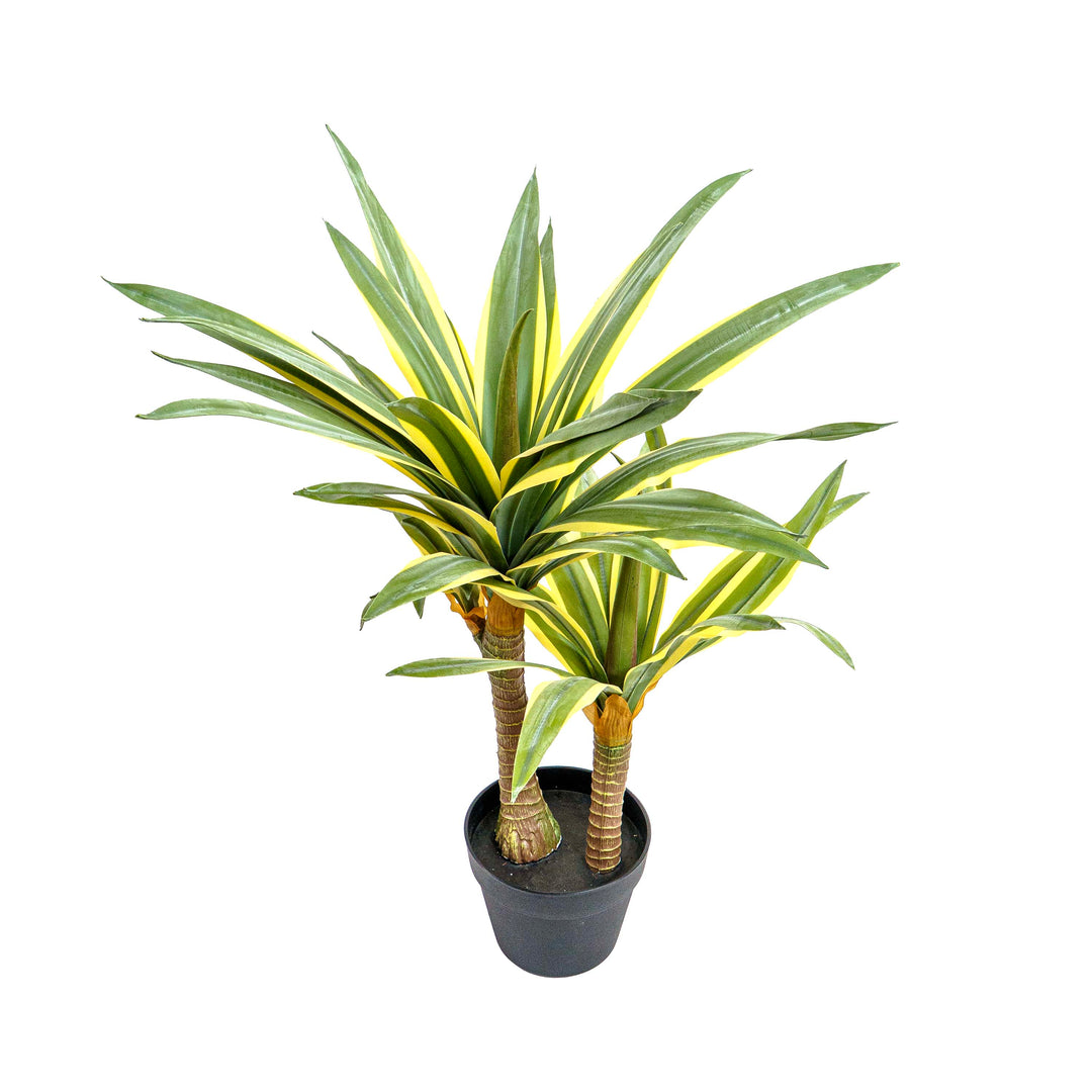 Desert Glow Faux Agave