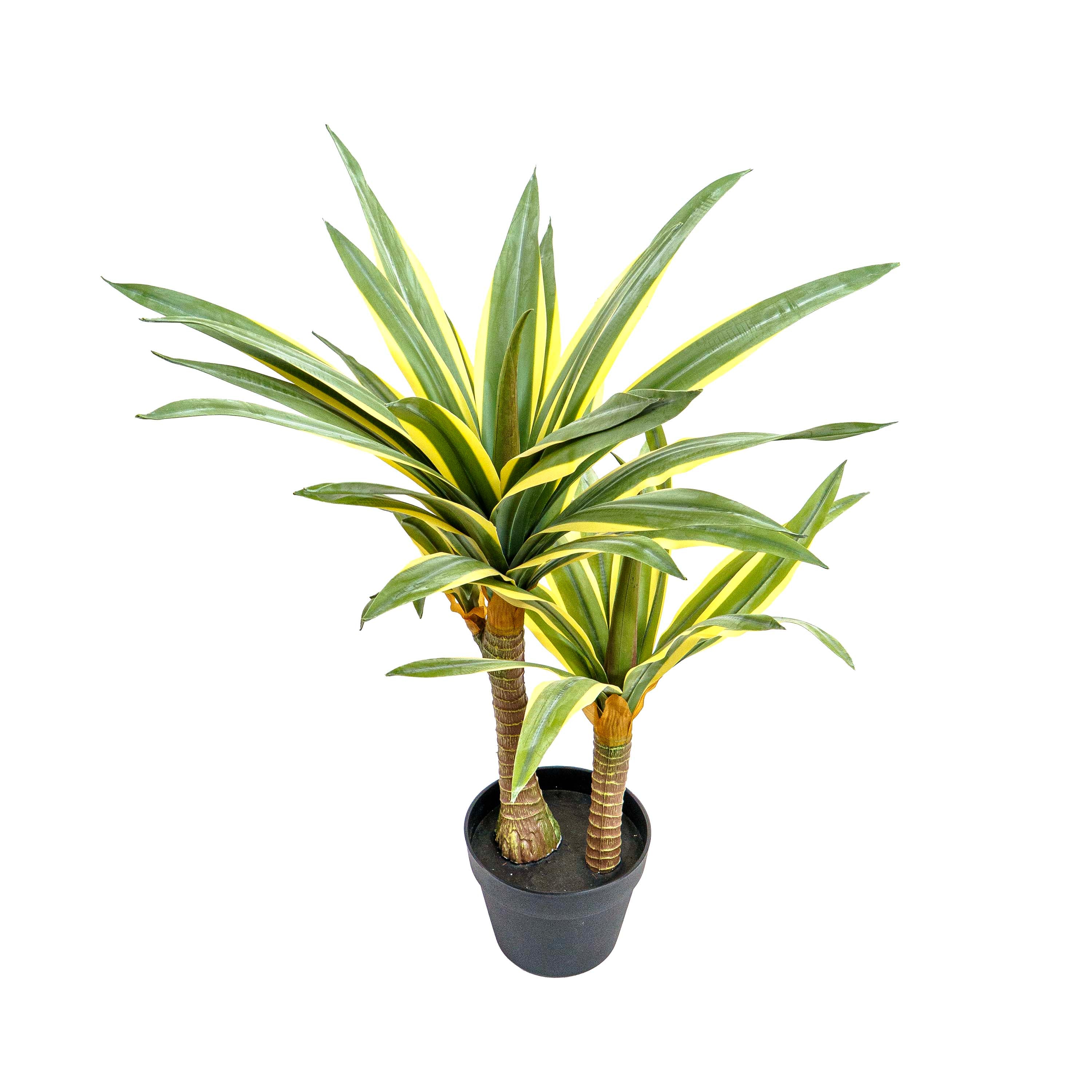 Desert Glow Faux Agave