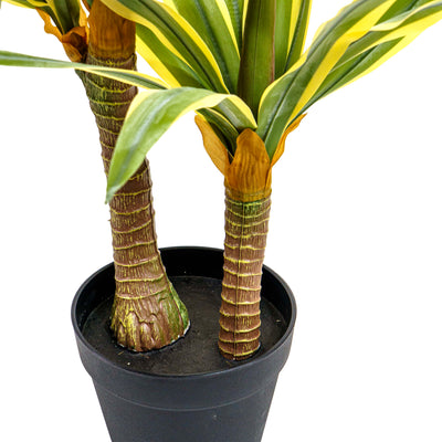 Desert Glow Faux Agave