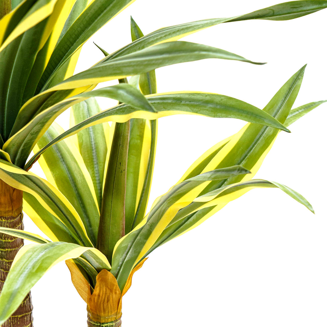 Desert Glow Faux Agave