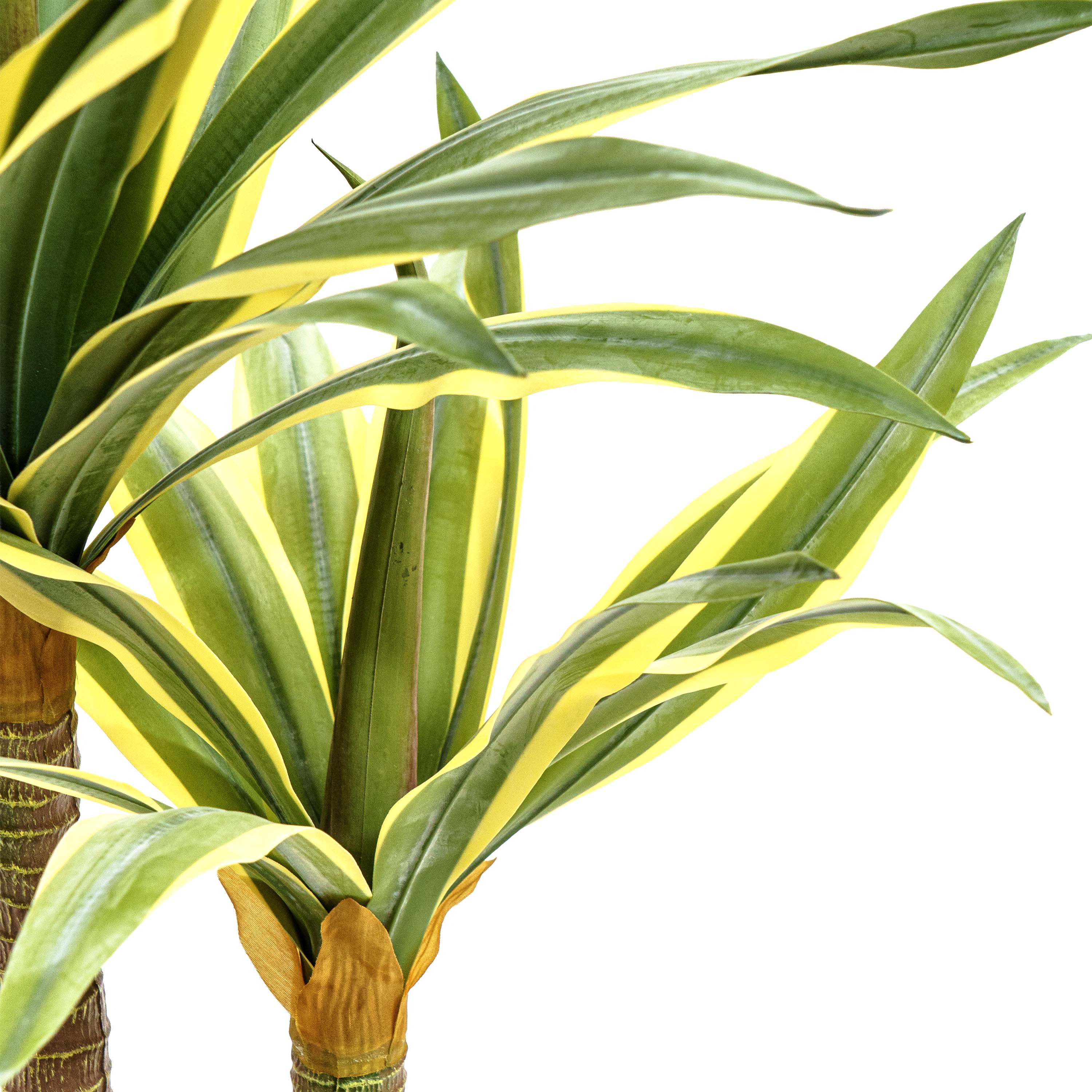Desert Glow Faux Agave