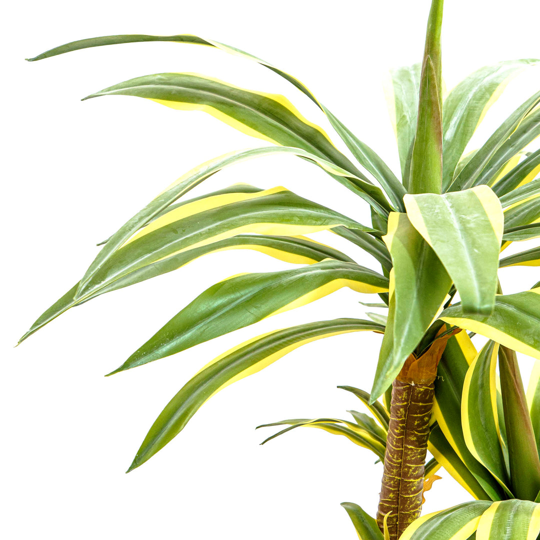 Faux Dracaena Tall Plant