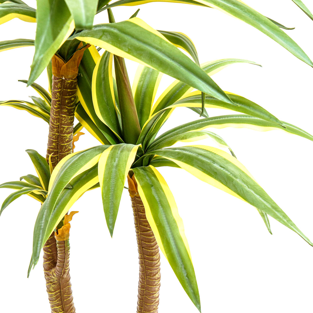 Faux Dracaena Tall Plant