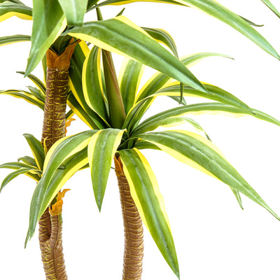 Faux Dracaena Tall Plant