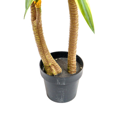 Faux Dracaena Tall Plant